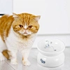 Food Water Bowls