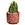 Cactus Planter