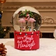 Snow Globes