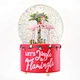Snow Globes