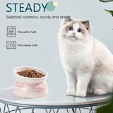 Custom Color Elevated Cat Bowls Ceramic Bowls Raised Feeder for Pet