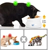 Custom Porcelain Cat Food Container 15 degrees Tilted Elevated Food Water Bowls