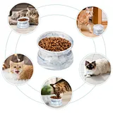 Ceramic Cat Bowl