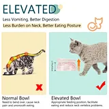 Bowls Raised Feeder for Pet
