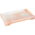Nonslip Tray