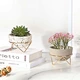Cactus Planter