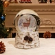 Water Globe