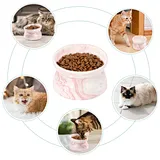 Custom Color Elevated Cat Bowls Ceramic Bowls Raised Feeder for Pet