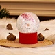 Snow Dancer Globe