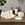Resin Bathroom Accessories