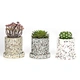 Flower Planter