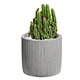 Concrete Terrazzo Flower Planter Modern Design Cement Garden Pot