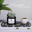 Tray Decor
