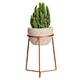 Indoor Planter