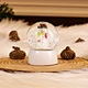 Water Globe