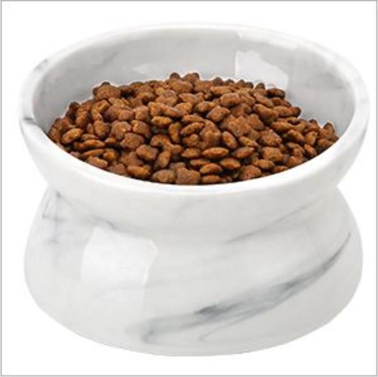 Modern Elevated Pet Bowl Manufacturer