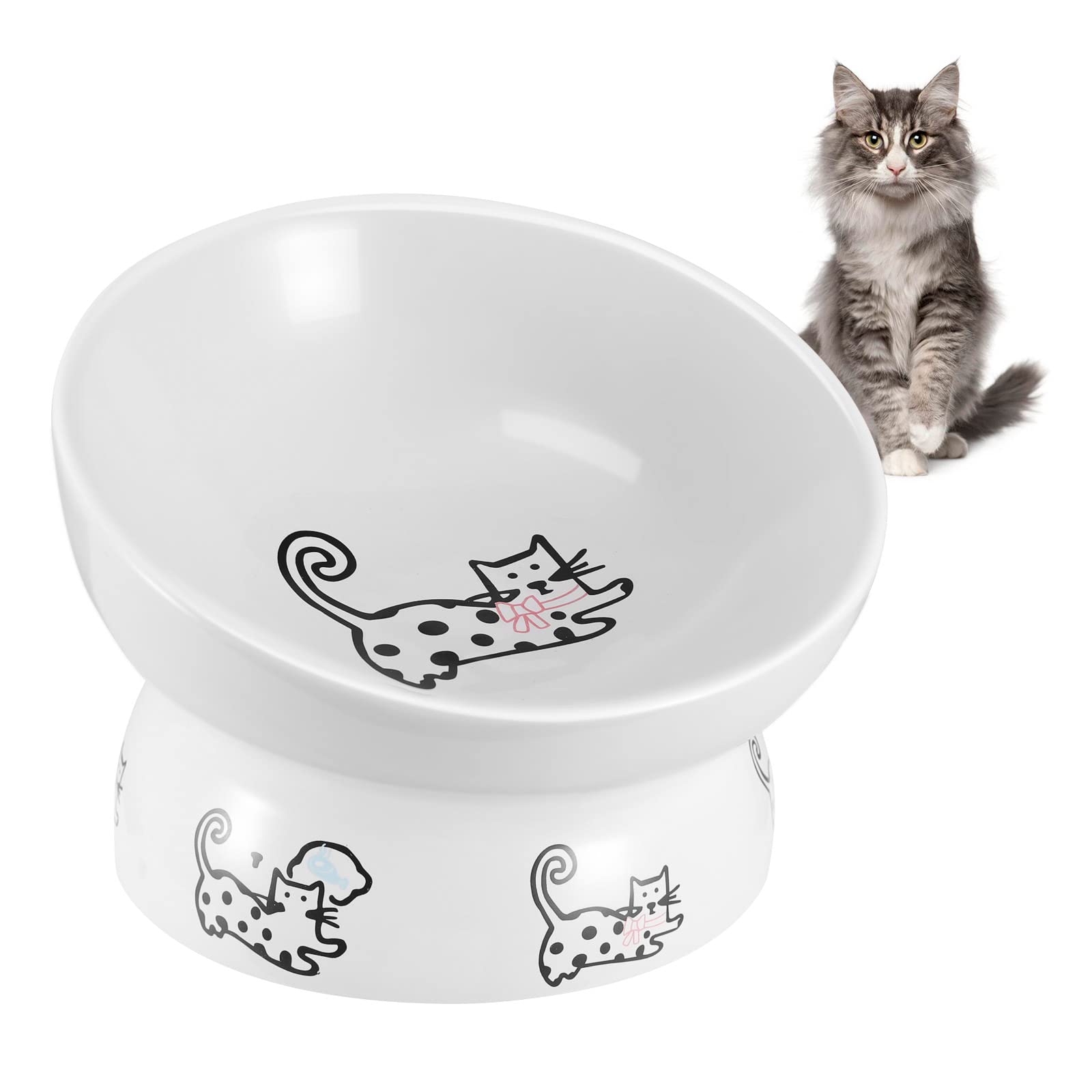 Modern Elevated Pet Bowl Manufacturer