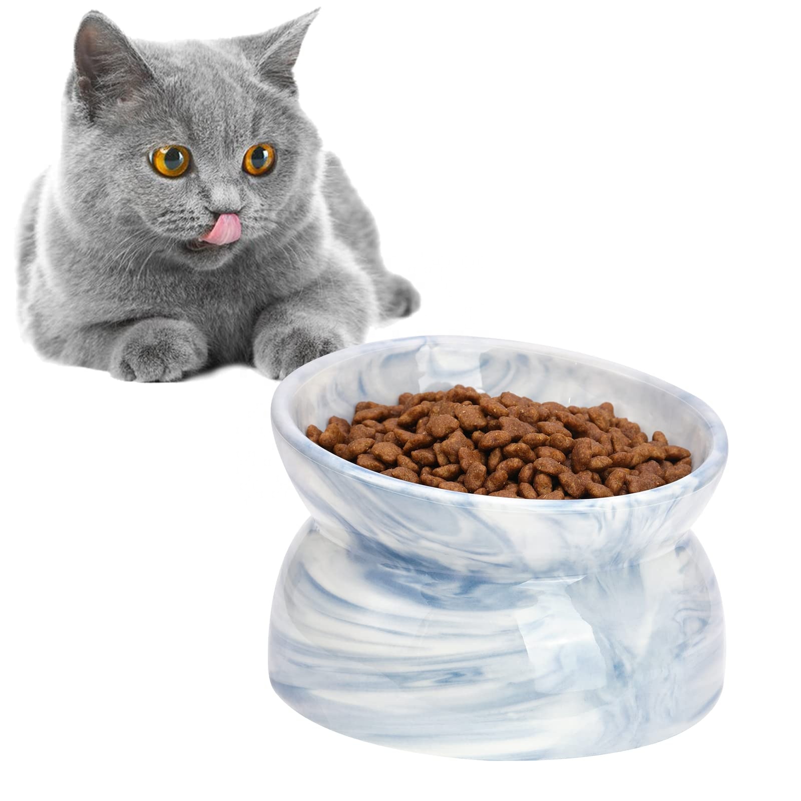 Modern Elevated Pet Bowl Manufacturer
