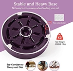 Elevated Dog Bowl