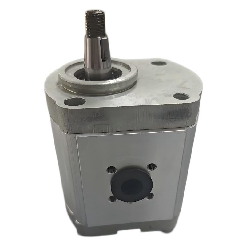 B210044 Gear Pump