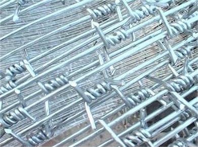 Razor wire