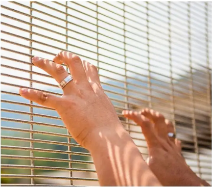 358 Anti-Climb Mesh