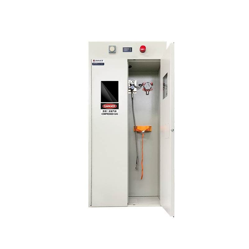 gas cylinder storage cabinet