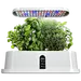 indoor garden