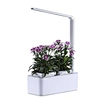 Hydroponic Growing System indoor