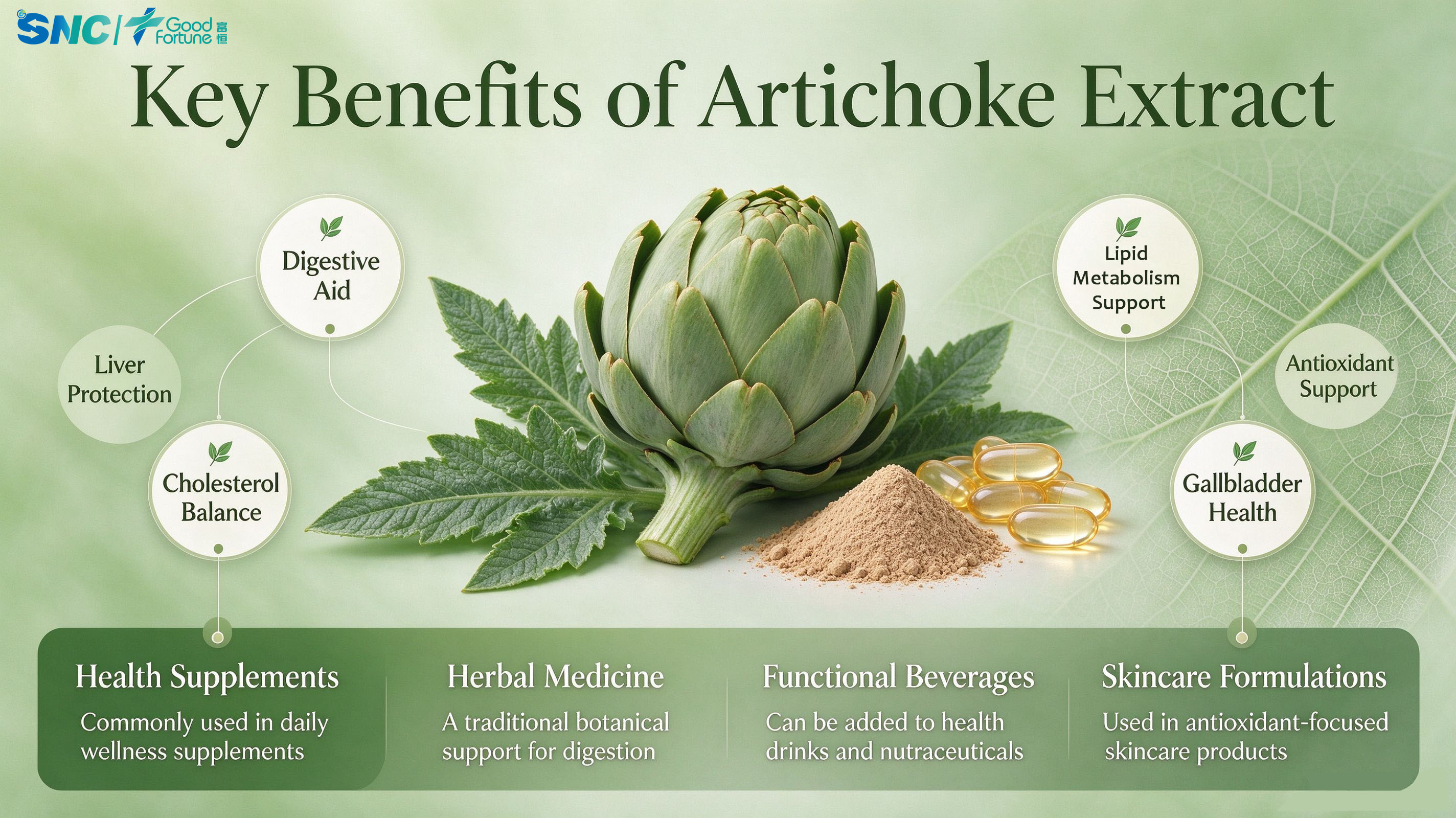 Artichoke Extract | Natural Botanical Powder for Digestive & Liver Health