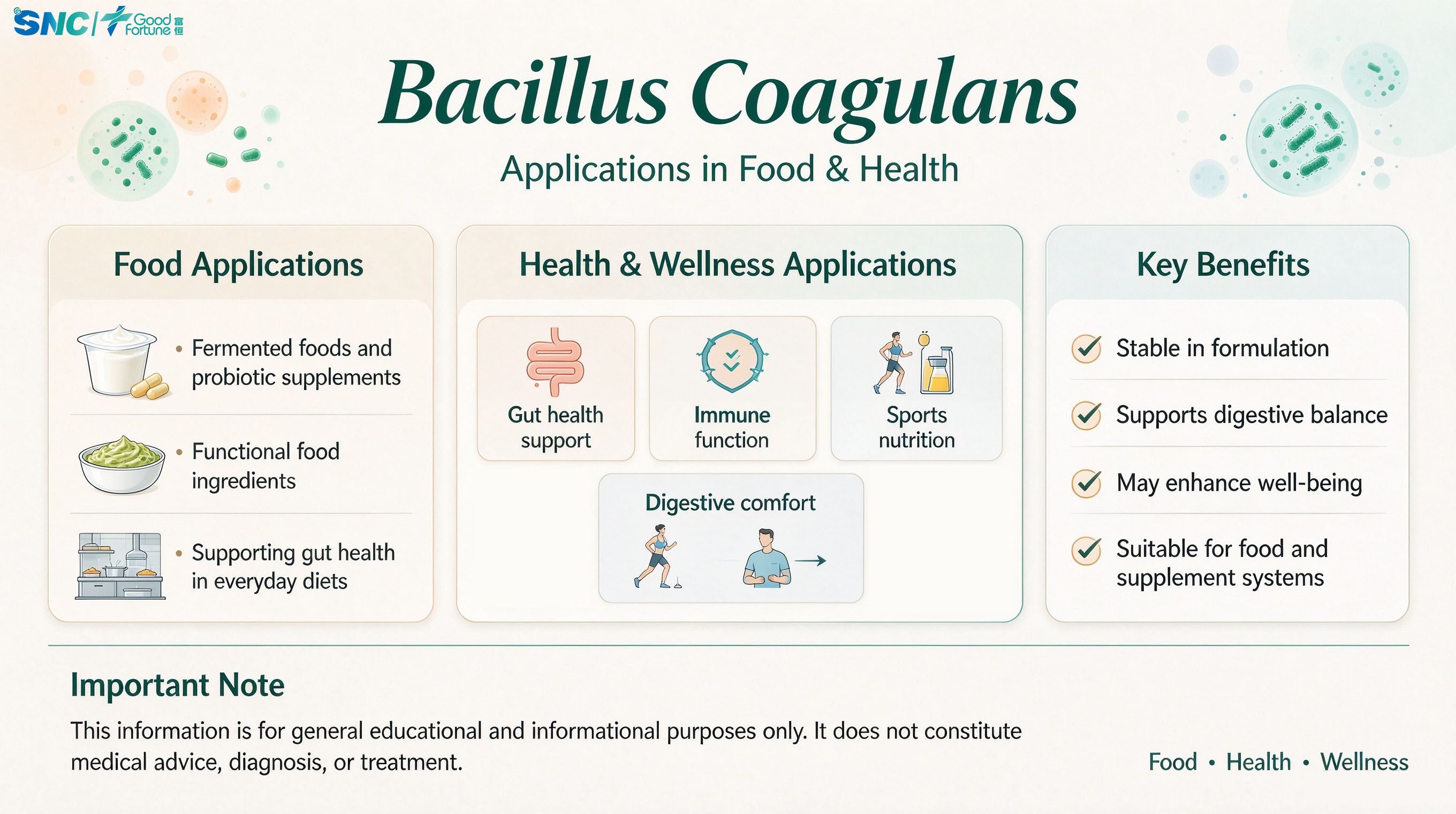 High Activity Bacillus Coagulans | Natural Probiotic Bacillus Coagulans for Dietary Supplement