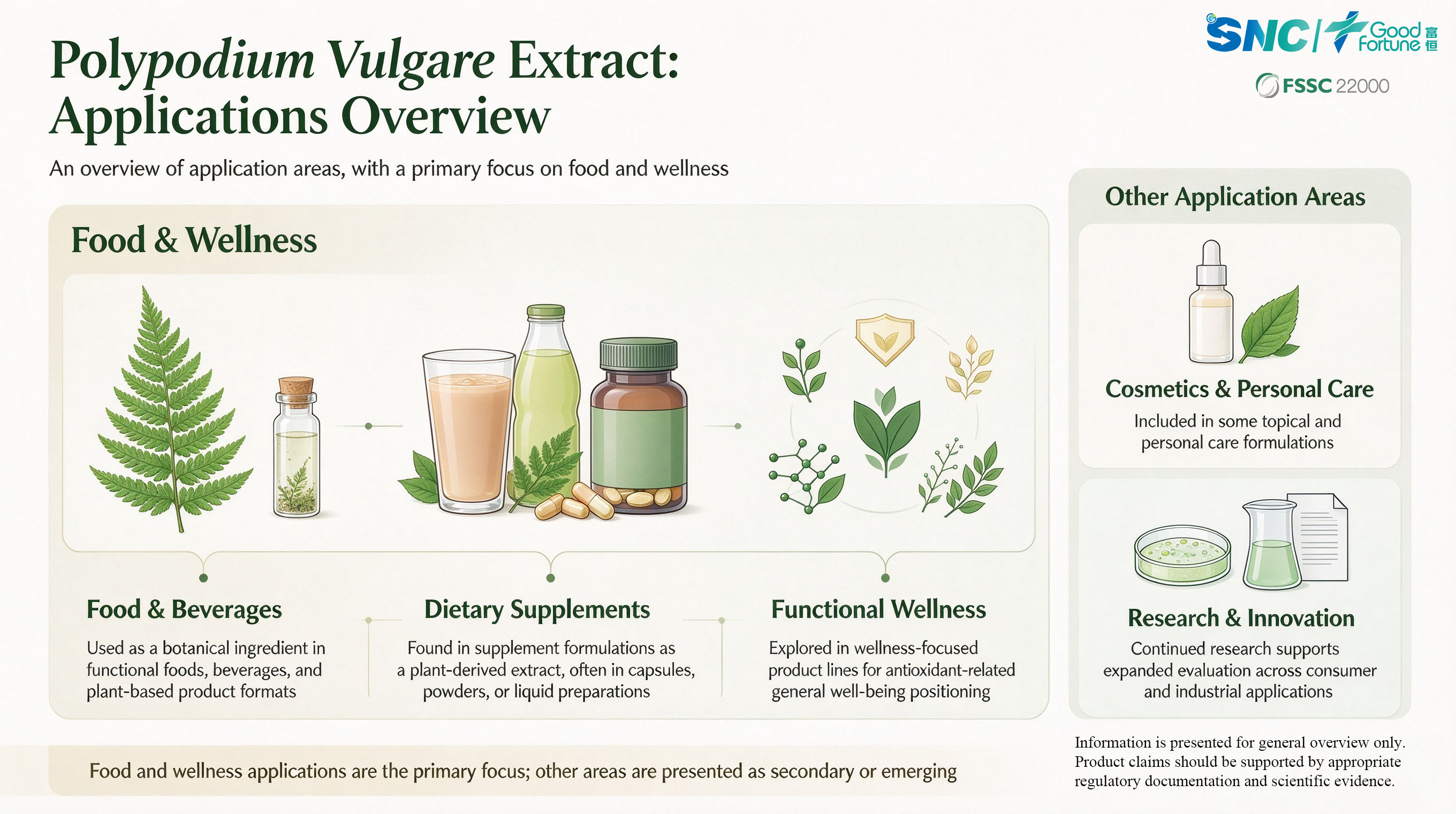 Natural Polypodium Vulgare Extract, Bulk Herbal Polypodium Vulgare Extract Supply
