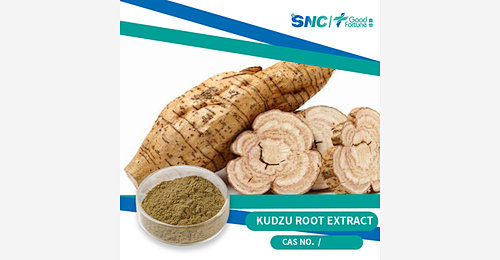 Kudzu Root Extract - SNC | Good Fortune