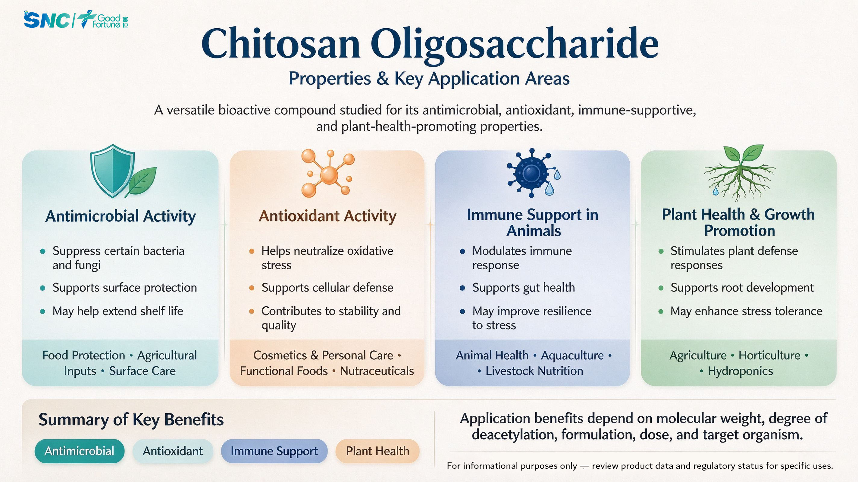 Chitosan Oligosaccharide Powder | Natural Water-Soluble Functional Ingredient