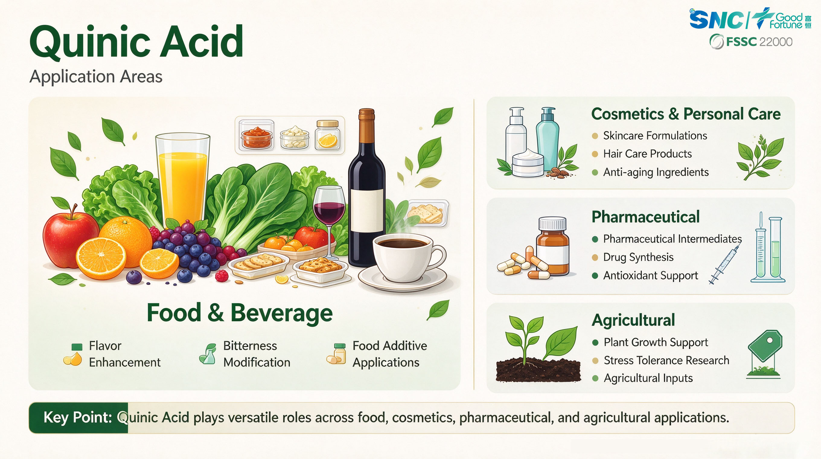 High Purity Quinic Acid | Natural Quinic Acid for Pharmaceutical & Antioxidant Applications