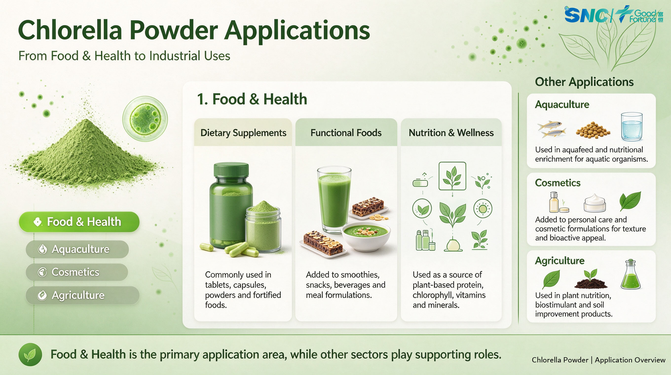 Pure Chlorella Powder | Bulk Chlorella Powder for Nutritional Supplement
