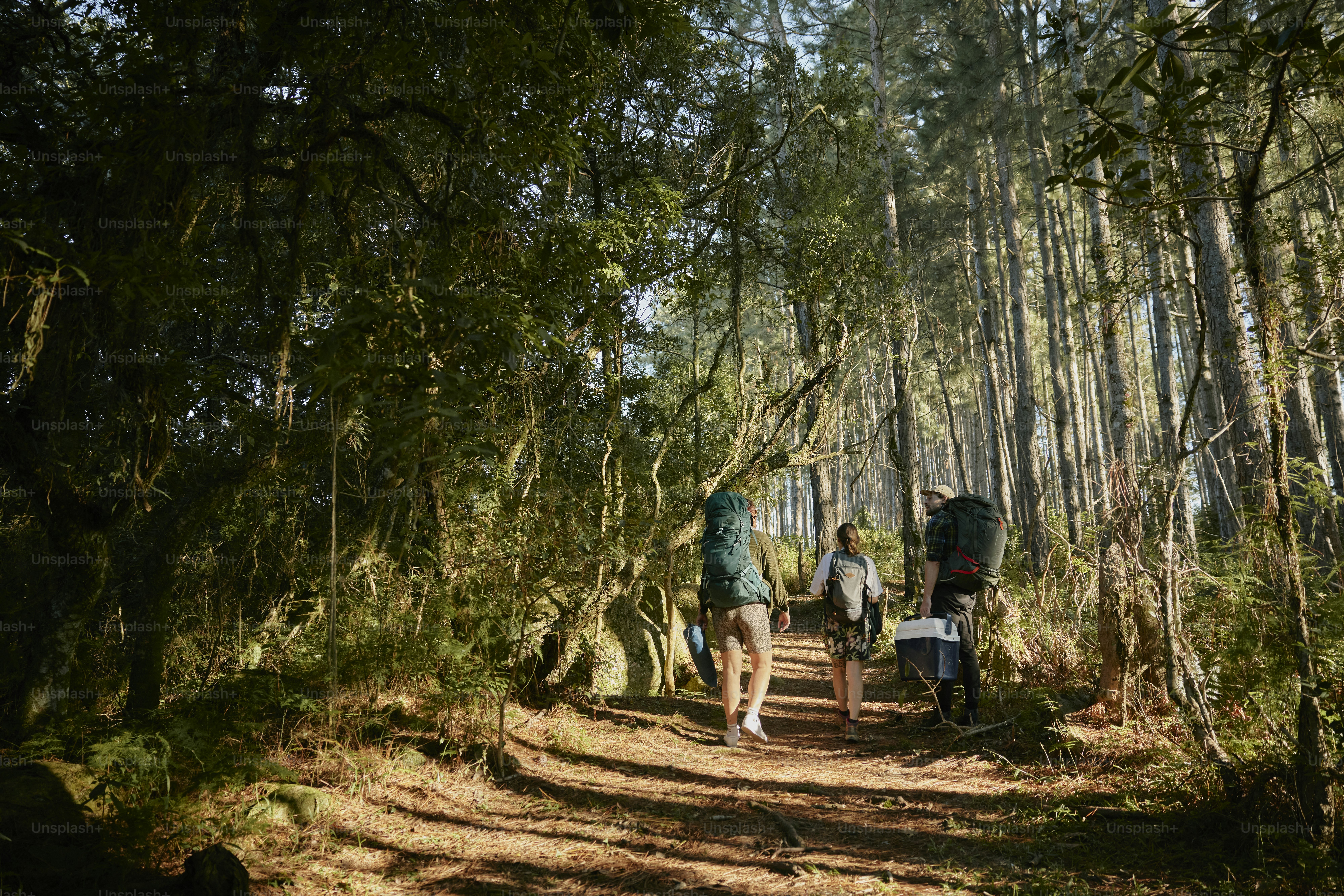 man walking towards mountain during daytime