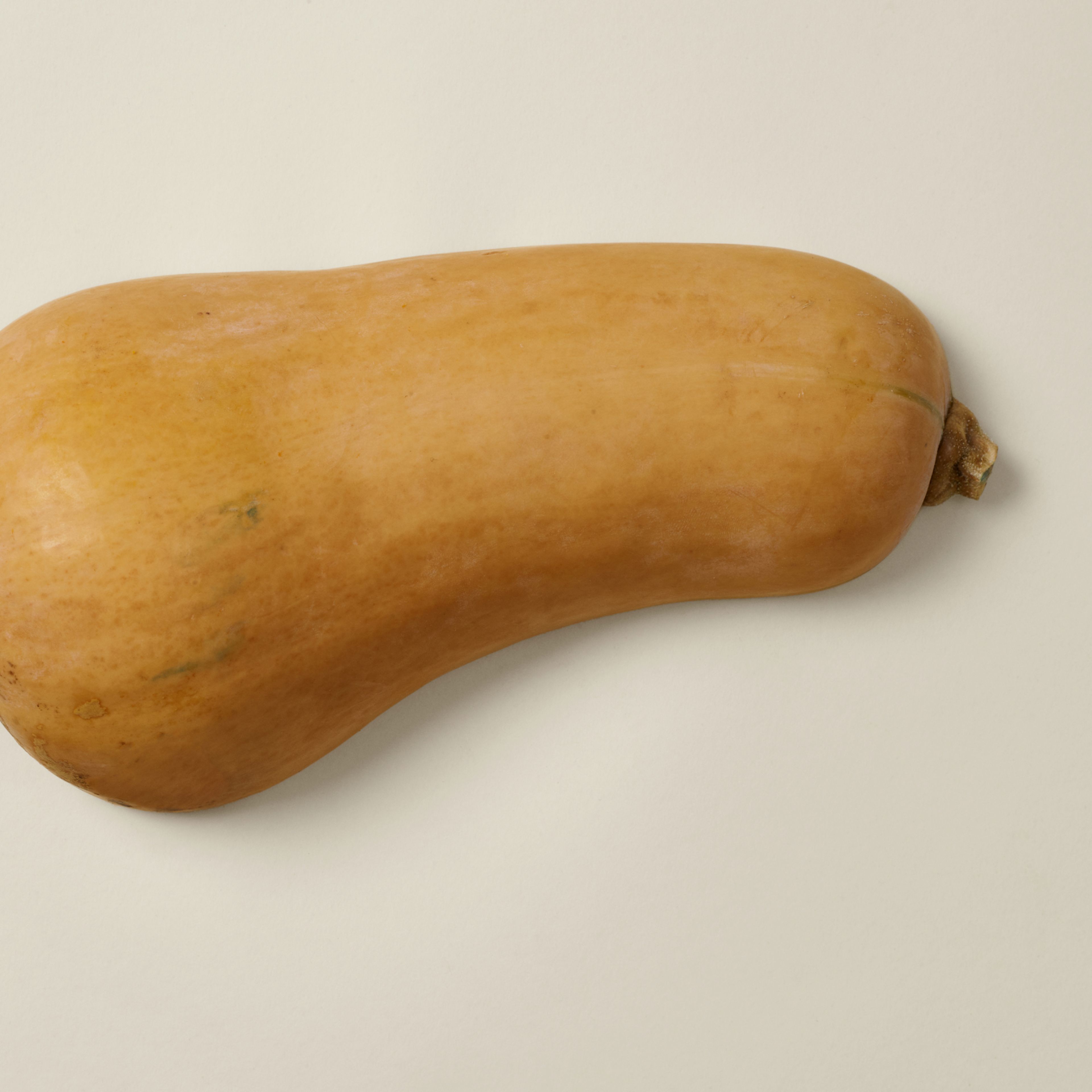 butternut squash