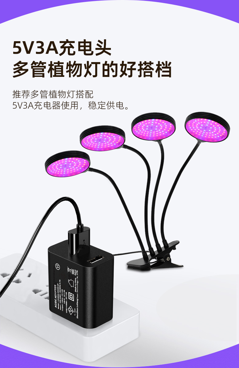 5V 3.1A双USB壁装充电器