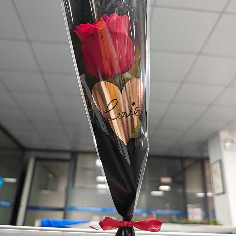 Rose is a beautiful and popular flower that has been admired for centuries. 