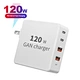 Gan charger