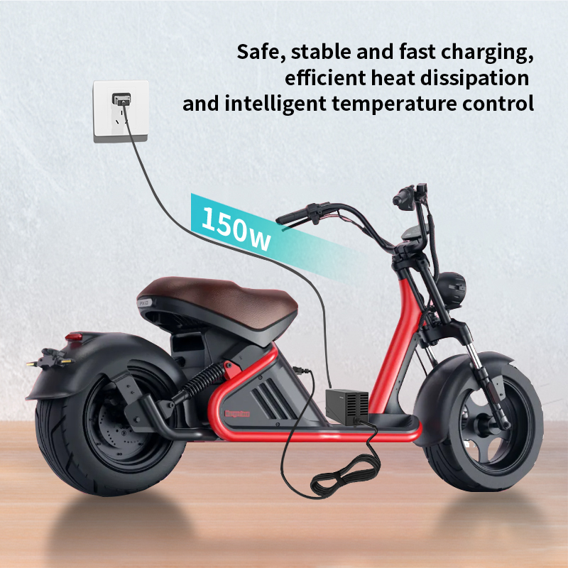 Electric Scooter charger