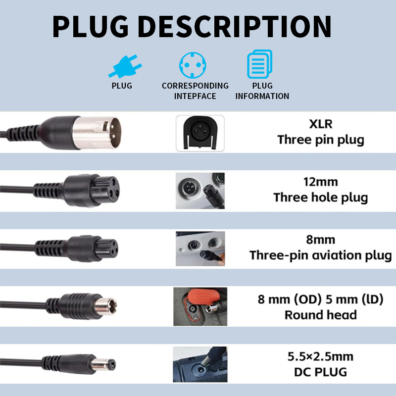 high-power 5-way lithium battery charger with DC lines