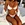 sexi hot girl bikini  Lady Swimsuit Bathing Suit