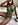 latest design sexy women bikini swimwear