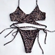 bikini girl sexy
