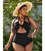 designer swimsuits famous brands