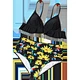 plus size swimwear