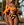 swimsuits for women sexy