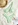 swimsuits for women 2021
